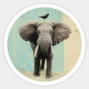 Elephant and a black bird Sticker